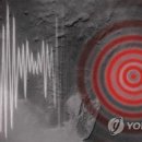 파로라 이미지