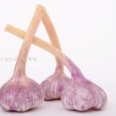 동수원요리전문학원