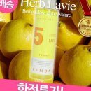 허브타임