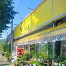 군왕로 | 🌸 [광주 북구 꽃집 추천] 필하루 방문기 다육이·화분·꽃다발까지, 감성 듬뿍 담은 내돈내산 후기