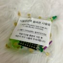 원주화분 | [원주식물] 원주화분 감성 플랜테리어 잎풀 방문 후기