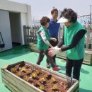 감천1동-4 이미지