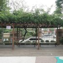 면목동-176 이미지