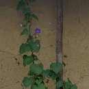 덕정리 경로당 이미지