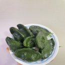 모시덕담