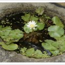 여기서지금 이미지