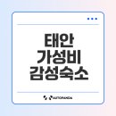 스테이도유 이미지
