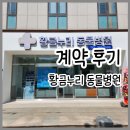 황금누리동물병원 이미지