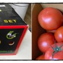 태곡농장 이미지