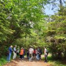 돌산초등학교두라분교장 이미지