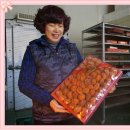 영동세계로 곶감 Daum카페