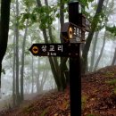 고래곰탕 이미지