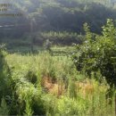 먹골사슴농장 이미지