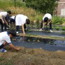 김천중앙중학교 이미지