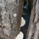 서면농장 이미지