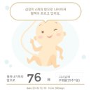 냅킨아트 연필꽂이 이미지