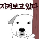 희또마미수제간식 이미지