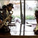 리틀애견 이미지