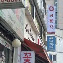 애니 카피