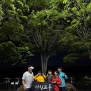 율동공원 | 러닝코스 율동공원 5km 후기 알려드려요 ~