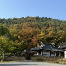 옻골로 | 대구 단풍명소 추천 🍁 옻골마을 &amp; 슬로우벗베럴 감성카페 후기