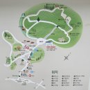 녹차밭 무인호텔 | 보성 여행 푸릇푸릇한 녹차밭을 즐길 수 있는 대한다원