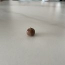 신동-117 이미지