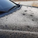 홍원교 옆 이미지