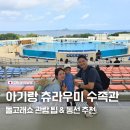 장성호관광지 야외공연장 화장실 | 오키나와 츄라우미 수족관 후기｜주차·소요시간·돌고래쇼 아기랑 관람 팁
