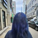 오일프로 | 아윤채 컬러 샴푸와 프로 폴리시 오일 사용 후기