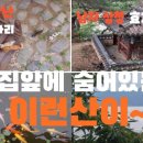 박수존정효각 | 야산에서 만난 유기견 5마리 / 남자심청 효자 박수존 정효각 / 아름다운 학생 문화원 / 아파트 뒤에...