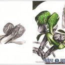 미술의 깊이를 더하다 이미지