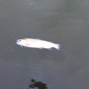 한터낚시터 이미지