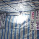 은주네포차 이미지