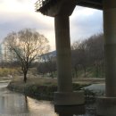 성균관유치원 | 봄 신학기 학교.유치원 급식소 합동점검 결과
