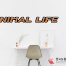 정리수납전문가 자격증 과정 이미지