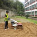 백동초등학교 병설유치원 이미지