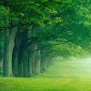 파삭파삭 이미지