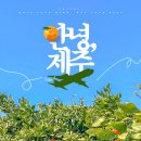 제주도 렌트카 vs 대중교통 여행 비교 후기 – 여행 스타일에 맞는 선택은?