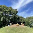 비자림가든 이미지