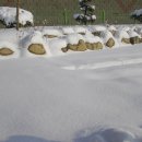 대원보건진료소 이미지