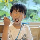 비자림 미담 | 제주 구좌 맛집 돌문어볶음 제주도 비자림 미담 포장 가능