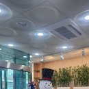 아랫배랭이로 이미지