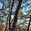 봉황자연휴양림 이미지