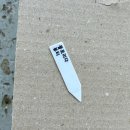 플로리다 - 영등포구 은행로 29 | 필로덴드론 플로리다 뷰티 그린 온라인 식쇼 후기 식물 택배