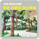 파스쿠찌연세우리라운지점