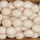 죽마을지산점 이미지