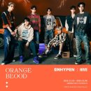 [앨범 리뷰] ENHYPEN(엔하이픈) 5th Mini Album [ORANGE BLOOD]