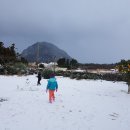 제주 이제이집 이미지