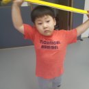 용인대용전태권도 이미지